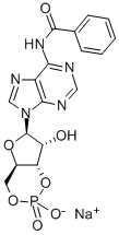 structure of CAS# 30275-80-0, N(6)-Benzoyladenosine 3',5'-cyclic monophosphate;N-[9-[(1S,6R,8R,9R)-3,9-Dihydroxy-3-Oxo-2,4,7-Trioxa-3$L^{5}-Phosphabicyclo[4.3.0]Nonan-8-Yl]-6-Purinyl]Benzamide;N-[9-[(1S,6R,8R,9R)-3,9-Dihydroxy-3-Keto-2,4,7-Trioxa-3$L^{5}-Phosphabicyclo[4.3.0]Nonan-8-Yl]Purin-6-Yl]Benzamide;N(6)-Benzoyladenosine 3',5'-Cyclic Monophosphate