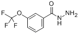 structure of CAS# 321195-88-4, 3-(Trifluoromethoxy)Benzhydrazide;3-(TRIFLUOROMETHOXY)BENZOIC ACID HYDRAZIDE;3-(Trifluoromethoxy)Benzohydrazide;3-(TRIFLUOROMETHOXY)BENZHYDRAZIDE