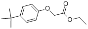 CAS 登录号：3344-19-2， 2-(4-叔丁基苯氧基)乙酸乙酯