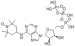 CAS#: 33913-54-1， 4-((9-(5-O-(Hydroxy((Hydroxy(Phosphonooxy)Phosphinyl)Oxy)Phosphinyl)-beta-D-Ribofuranosyl)-9H-Purin-6-Yl)Amino)-2,2,6,6-Tetramethyl-1-Piperidinyloxy