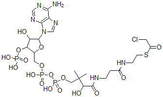 CAS#: 34201-15-5， S-[2-[3-[[4-[[[5-(6-Aminopurin-9-Yl)-4-Hydroxy-3-Phosphonooxyoxolan-2-Yl]Methoxy-Hydroxyphosphoryl]Oxy-Hydroxyphosphoryl]Oxy-2-Hydroxy-3,3-Dimethylbutanoyl]Amino]Propanoylamino]Ethyl] 2-Chloroethanethioate
