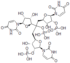 CAS#: 3504-15-2， [2-[(2S,3S,4R,5R)-5-(2,4-Dioxopyrimidin-1-Yl)-3,4-Dihydroxyoxolan-2-Yl]-1,3-Bis[(2R,3R,4R,5R)-5-(2,4-Dioxopyrimidin-1-Yl)-3-Hydroxy-4-Phosphonooxyoxolan-2-Yl]Propan-2-Yl] Dihydrogen Phosphate