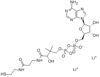 structure of CAS# 3633-59-8, 3'-Dephosphocoenzyme A;[5-(6-Aminopurin-9-Yl)-3,4-Dihydroxy-Tetrahydrofuran-2-Yl]Methyl [Hydroxy-[3-Hydroxy-2,2-Dimethyl-4-Oxo-4-[[3-Oxo-3-(2-Sulfanylethylamino)Propyl]Amino]Butoxy]Phosphoryl] Hydrogen Phosphate;[5-(6-Amino-9-Purinyl)-3,4-Dihydroxy-2-Tetrahydrofuranyl]Methyl [Hydroxy-[3-Hydroxy-4-[[3-(2-Mercaptoethylamino)-3-Oxopropyl]Amino]-2,2-Dimethyl-4-Oxobutoxy]Phosphoryl] Hydrogen Phosphate;[5-(6-Aminopurin-9-Yl)-3,4-Dihydroxy-Tetrahydrofuran-2-Yl]Methyl [Hydroxy-[3-Hydroxy-4-Keto-4-[[3-Keto-3-(2-Mercaptoethylamino)Propyl]Amino]-2,2-Dimethyl-Butoxy]Phosphoryl] Hydrogen Phosphate