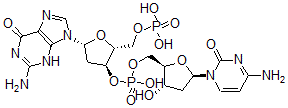 结构式 CAS# 36786-90-0, [(2R,3S,5R)-5-(2-氨基-6-氧代-3H-嘌呤-9-基)-2-(膦酰氧基甲基)四氢呋喃-3-基][(2R,3S,5R)-5-(4-氨基-2-氧代嘧啶-1-基)-3-羟基四氢呋喃-2-基]甲基磷酸氢酯
