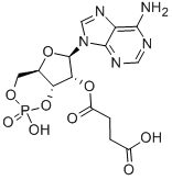 structure of CAS# 36940-87-1, 2'-O-Monosuccinyladenosine 3',5'-Cyclic Monophosphate;4-[[(1R,6R,8R,9R)-8-(6-Aminopurin-9-Yl)-3-Hydroxy-3-Oxo-2,4,7-Trioxa-3$L^{5}-Phosphabicyclo[4.3.0]Nonan-9-Yl]Oxy]-4-Oxo-Butanoic Acid;4-[[(1R,6R,8R,9R)-8-(6-Amino-9-Purinyl)-3-Hydroxy-3-Oxo-2,4,7-Trioxa-3$L^{5}-Phosphabicyclo[4.3.0]Nonan-9-Yl]Oxy]-4-Oxobutanoic Acid;4-[[(1R,6R,8R,9R)-8-(6-Aminopurin-9-Yl)-3-Hydroxy-3-Keto-2,4,7-Trioxa-3$L^{5}-Phosphabicyclo[4.3.0]Nonan-9-Yl]Oxy]-4-Keto-Butyric Acid