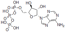 CAS#: 3714-60-1， [(2R,3S,4S,5R)-5-(6-Aminopurin-9-Yl)-3,4-Dihydroxyoxolan-2-Yl]Methyl (Hydroxy-Phosphonooxyphosphoryl) Hydrogen Phosphate