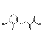 CAS#: 372510-78-6， 4-(2,3-Dihydroxyphenyl)-2-Oxobutanoic Acid
