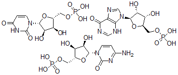 CAS#: 38640-92-5， 5'-Inosinic acid, homopolymer, complex with 5'-cytidylic acid polymer with 5'-uridylic acid (1:1)