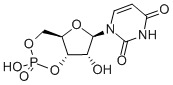 CAS#: 4004-57-3， Uridine 3',5'-Cyclic Monophosphate