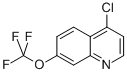 CAS#: 40516-31-2， 4-Chloro-7-Trifluoro Methoxyquinoline