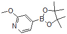structure of CAS# 408502-23-8, 2-Methoxypyridine-4-boronic acid, pinacol ester;2-Methoxy-4-(4,4,5,5-Tetramethyl-1,3,2-Dioxaborolan-2-Yl)Pyridine;2-METHOXYPYRIDINE-4-BORONIC ACID PINACOL ESTER;2-Methoxylypyrinine-4-Boronic Acid Pinacolate