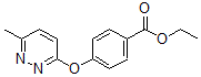 CAS#: 423768-61-0， 4-[(6-Methyl-3-Pyridazinyl)Oxy]-Benzoic Acid Ethyl Ester