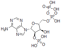 CAS 登录号：4457-01-6， 5'-二磷酰腺苷 2'-磷酸酯