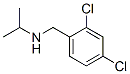 CAS#: 46190-62-9， 2,4-Dichloro-N-Isopropylbenzylamine