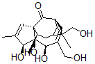 CAS#: 52557-29-6， 16-Hydroxyingenol