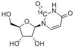 CAS#: 54-23-9， Uridine-2-14C