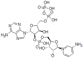 CAS#: 54758-28-0， 3-Aminopyridine Adenine Dinucleotide Phosphate