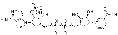 structure of CAS# 5502-96-5, Nicotinic acid adenine dinucleotide phosphate;[[(2R,3R,4R,5R)-5-(6-Aminopurin-9-Yl)-3-Hydroxy-4-Phosphonooxy-Tetrahydrofuran-2-Yl]Methoxy-Hydroxy-Phosphoryl] [(2R,3S,4R,5R)-5-(3-Carboxypyridin-1-Ium-1-Yl)-3,4-Dihydroxy-Tetrahydrofuran-2-Yl]Methyl Phosphate;[[(2R,3R,4R,5R)-5-(6-Amino-9-Purinyl)-3-Hydroxy-4-Phosphonooxy-2-Tetrahydrofuranyl]Methoxy-Hydroxyphosphoryl] [(2R,3S,4R,5R)-5-(3-Carboxy-1-Pyridin-1-Iumyl)-3,4-Dihydroxy-2-Tetrahydrofuranyl]Methyl Phosphate;[[(2R,3R,4R,5R)-5-(6-Aminopurin-9-Yl)-3-Hydroxy-4-Phosphonooxy-Oxolan-2-Yl]Methoxy-Hydroxy-Phosphoryl] [(2R,3S,4R,5R)-5-(3-Carboxypyridin-1-Ium-1-Yl)-3,4-Dihydroxy-Oxolan-2-Yl]Methyl Phosphate