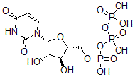 CAS#: 60102-52-5， Arabinofuranosyluridine triphosphate