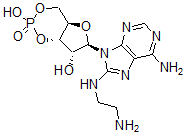 CAS#: 61363-29-9， 8-[(2-Aminoethyl)Amino]-Adenosine Cyclic 3',5'-(Hydrogen Phosphate)