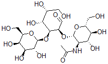 CAS#: 62398-02-1， Galactopyranosyl-1-4-N-Acetylglucosaminyl-1-2-Mannopyranose