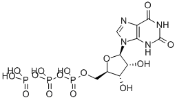 CAS#: 6253-56-1， Xanthosine-5'-Triphosphate