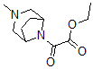 CAS#: 63977-71-9， alpha-Oxo-3-Methyl-3,8-Diazabicyclo[3.2.1]Octane-8-Acetic Acid Ethyl Ester