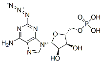 CAS 登录号：64020-54-8， 2-叠氮基腺苷 5'-单磷酸酯