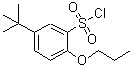 CAS#: 681260-21-9， 5-(2-Methyl-2-propanyl)-2-propoxybenzenesulfonyl chloride