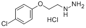 CAS#: 69782-24-7， 1-(2-(4-Chlorophenoxy)Ethyl)Hydrazine