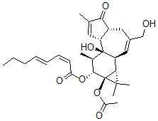 CAS#: 70028-76-1， 12-O-2Z-4E-Octadienoyl-4-Deoxyphorbol-13-Acetate
