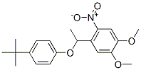 CAS#: 71243-34-0， 4-[1-[4-(Tert-Butyl)Phenoxy]Ethyl]-5-Nitroveratrole