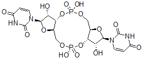 CAS#: 73120-97-5， Cyclic Bis((3'-5')Uridylic Acid)