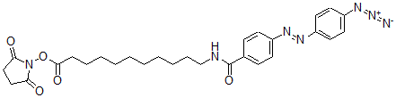 CAS#: 74726-33-3， (2,5-Dioxopyrrolidin-1-Yl) 11-[[4-(4-Azidophenyl)Diazenylbenzoyl]Amino]Undecanoate