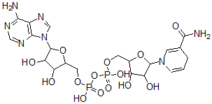 CAS#: 74927-11-0， [5-(6-Aminopurin-9-Yl)-3,4-Dihydroxyoxolan-2-Yl]Methyl [[5-(3-Carbamoyl-4H-Pyridin-1-Yl)-3,4-Dihydroxyoxolan-2-Yl]Methoxy-Hydroxyphosphoryl] Hydrogen Phosphate