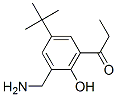 CAS#: 75060-92-3， 2-Aminomethyl-4-Tert-Butyl-6-Propionylphenol