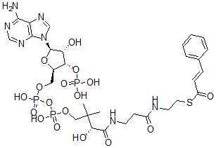 CAS#: 76109-04-1， Cinnamoyl-coenzyme A