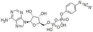 CAS#: 76611-59-1， [(2R,3S,4R,5R)-5-(6-Aminopurin-9-Yl)-3,4-Dihydroxyoxolan-2-Yl]Methyl [(4-Azidophenoxy)-Hydroxyphosphoryl] Hydrogen Phosphate
