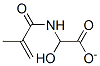 CAS 登录号：77402-05-2， 甲基丙烯酰胺基乙醇酸酯