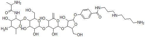 CAS#: 78213-55-5， 4-[4-[4-[5-[5-Amino-3-(2-Aminopropanoylamino)-4-Hydroxy-6-Methyloxan-2-Yl]Oxy-3,4-Dihydroxy-6-(Hydroxymethyl)Oxan-2-Yl]Oxy-3,5-Dihydroxy-6-Methylideneoxan-2-Yl]Oxy-3-Hydroxy-5-(Hydroxymethyl)Oxolan-2-Yl]Oxy-N-[3-(4-Aminobutylamino)Propyl]Benzamide