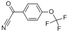 CAS#: 80277-36-7， 4-(Trifluoromethoxy)Benzoyl Cyanide