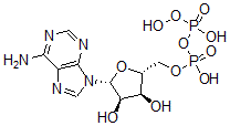 CAS#: 80589-10-2， Adenylyl 5'-Peroxydiphosphate