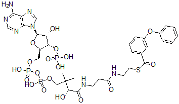 CAS#: 81424-65-9， 3-Phenoxybenzoyl-Coenzyme A