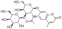 CAS 登录号：82358-93-8， 4-甲基伞形酮-半乳糖苷(1-3)-N-乙酰基氨基半乳糖苷