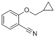 CAS#: 83728-40-9， 2-(Cyclopropylmethoxy)Benzonitrile