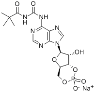 CAS#: 84433-46-5， N-[[(1,1-Dimethylethyl)Amino]Carbonyl]-Adenosine Cyclic 3',5'-(Hydrogen Phosphate)