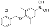 structure of CAS# 849052-15-9, B-[4-[(2-Chlorophenyl)methoxy]-3,5-dimethylphenyl]-Boronic acid;4-(2’-Chlorobenzyloxy)-3,5-Dimethylphenylboronic