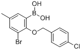 structure of CAS# 849052-18-2, B-[3-Bromo-2-[(4-chlorophenyl)methoxy]-5-methylphenyl]-Boronic acid