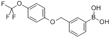 structure of CAS# 849062-06-2, B-[3-[[4-(Trifluoromethoxy)phenoxy]methyl]phenyl]-Boronic acid