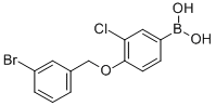 structure of CAS# 849062-25-5, B-[4-[(3-Bromophenyl)methoxy]-3-chlorophenyl]-Boronic acid;4-(3-Bromobenzyloxy)-3-Chlorophenylboronic Acid;3-CHLORO-4-(3'-BROMOBENZYLOXY)PHENYLBOR&